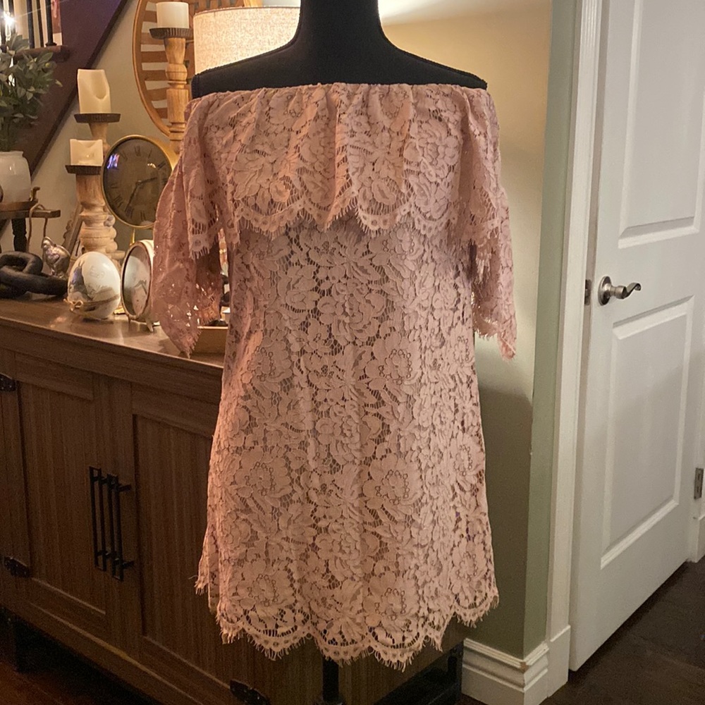 NWT!!! Storee womens dress, SZ L. Blush, lace, off shoulder w/ short sleeve.